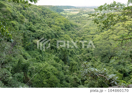 green forest lookout top view 104860170