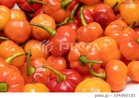 Set of collected pepper berries 104860185