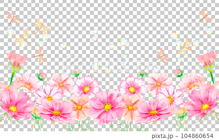 水彩で描かれたカラフルなコスモスのフレームイラスト 104860654