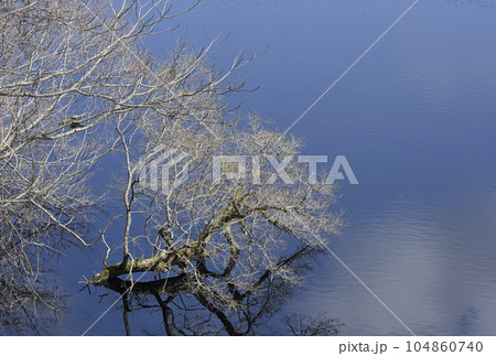 3月の浮布池 3月の浮布池 104860740