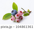 ブルーベリーの実と葉っぱ 104861361