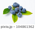 ブルーベリーの実と葉っぱ 104861362