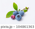 ブルーベリーの実と葉っぱ 104861363