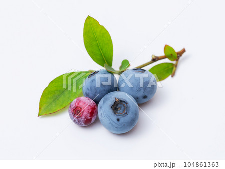 ブルーベリーの実と葉っぱ 104861363