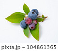ブルーベリーの実と葉っぱ 104861365