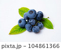 ブルーベリーの実と葉っぱ 104861366