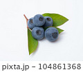 ブルーベリーの実と葉っぱ 104861368