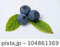ブルーベリーの実と葉っぱ 104861369