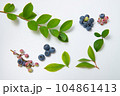 ブルーベリーの実と葉っぱ 104861413