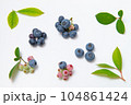 ブルーベリーの実と葉っぱ 104861424