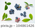 ブルーベリーの実と葉っぱ 104861426