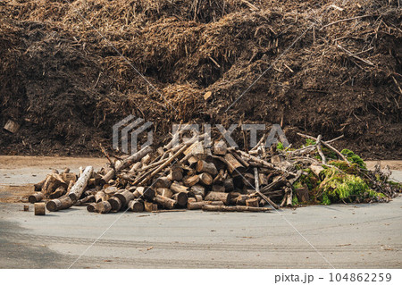 積まれた大量のオガコ前の木材 104862259