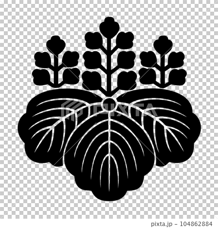 本願寺門跡劍法之冠五七桐 104862884