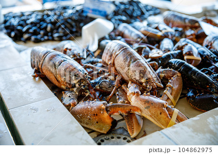 Fresh lobsters and seafood on french farmer market in Normandy, France. Fresh lobsters and seafood on french farmer market in Normandy, France. 104862975