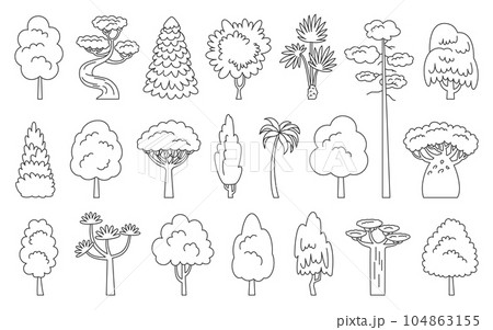 Tree line icon set. Spruce maple baobab palm sequoia. Coloring book eco plants side view. Dracaena willow cypress thuja pine oak poplar birch. Cartoon forest aspen alder ash linden acacia chestnut 104863155