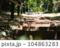 森の公園にある木製の階段 104863283