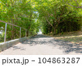 森の公園にある幻想的な小道と木漏れ日 104863287