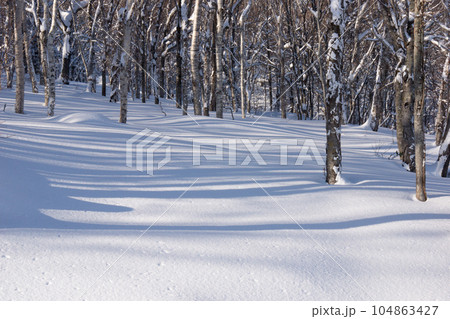 新雪の森 新雪の森 104863427