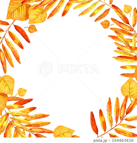 watercolor square frame with autumn leaves, wreath of autumn leaf, hand drawn illustration of yellow and orange maple leaves, mountain ash leaves, sketch isolated on white background 104863616