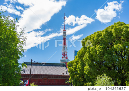 芝大門の街並みと東京のシンボルタワー方面の風景|東京都港区 芝大門の街並みと東京のシンボルタワー方面の風景|東京都港区 104863627
