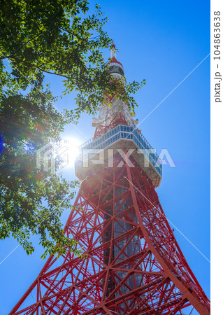 青空と木漏れ日が爽やかな東京のシンボルタワー方面の景色｜東京都港区 104863638