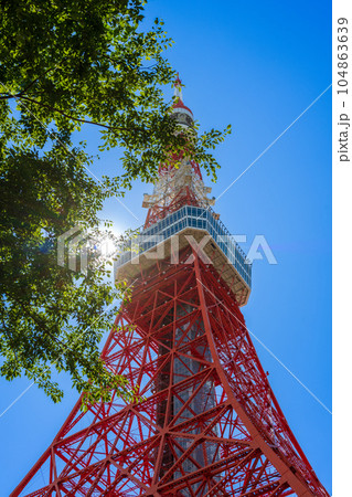 青空と木漏れ日が爽やかな東京のシンボルタワー方面の景色｜東京都港区 104863639
