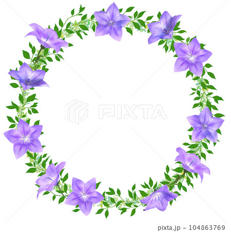 桔梗のリース 円形フレーム 桔梗のリース 円形フレーム 104863769