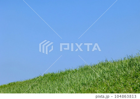 真夏の土手 104863813