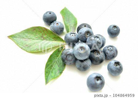 ブルーベリー　無農薬 104864959