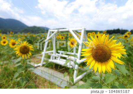ひまわり　玉城町 104865187