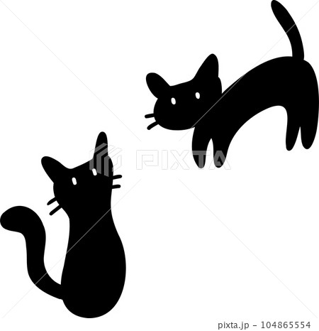 2匹のかわいい黒猫 2匹のかわいい黒猫 104865554