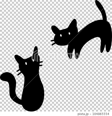 2匹のかわいい黒猫 2匹のかわいい黒猫 104865554