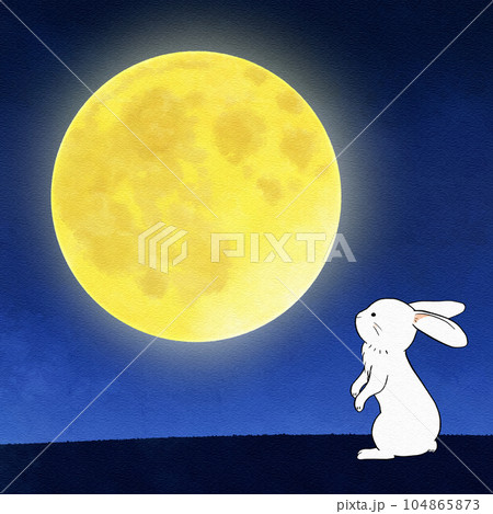 十五夜　満月を見上げる簡単かわいいウサギのイラスト素材 104865873