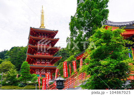 高幡不動尊の五重塔（東京都日野市） 104867025