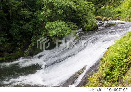 新緑の美しい菊池渓谷 新緑の美しい菊池渓谷 104867102