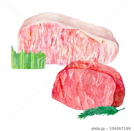 高級食材　国産霜降り和牛　水彩イラスト 104867199