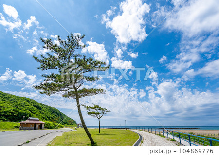 折腰内オートキャンプ場 折腰内オートキャンプ場 104869776