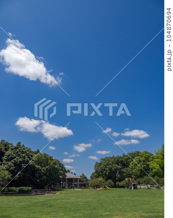 夏の公園風景　爽やかな青空と芝生の広場（千葉県柏市　あけぼの山農業公園） 104870694