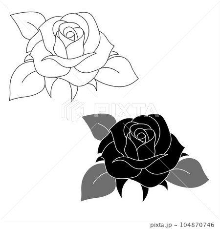 Black and white roses isolated on a white background 104870746