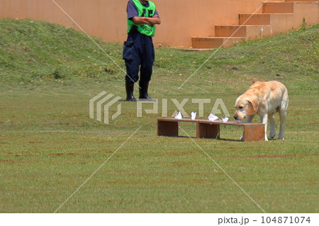 臭気選別 臭気選別 104871074