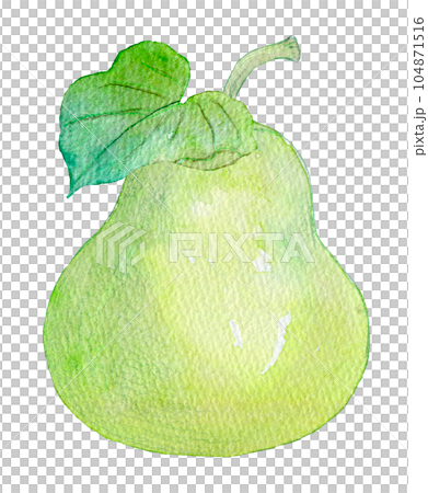 Kanpyo 水彩插圖 104871516