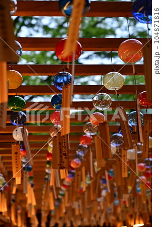 たくさんの風鈴 たくさんの風鈴 104871816