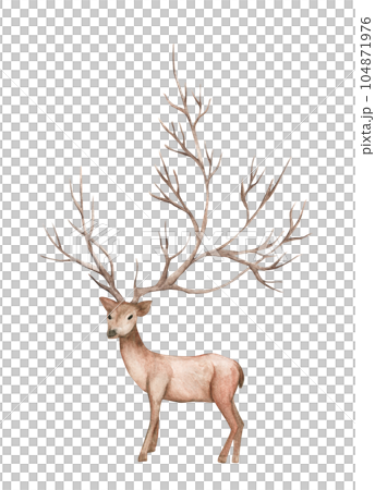 Watercolor painting of deer, big antlers, mountain tree branch. Watercolor painting of deer, big antlers, mountain tree branch. 104871976
