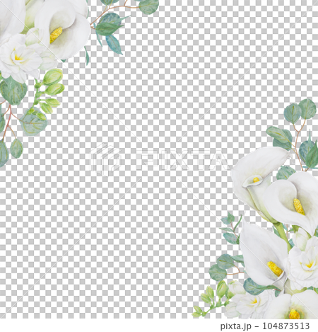Watercolor clipart of white calla lily, freesia flowers and eucalipt. Hand drawn floral illustration for wedding invitations, floristic, beauty salon. Isolated tropical water arum for greeting 104873513