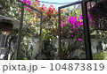 花のある家 104873819