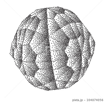 Wireframe sphere vector with stipple gradient Wireframe sphere vector with stipple gradient 104874056