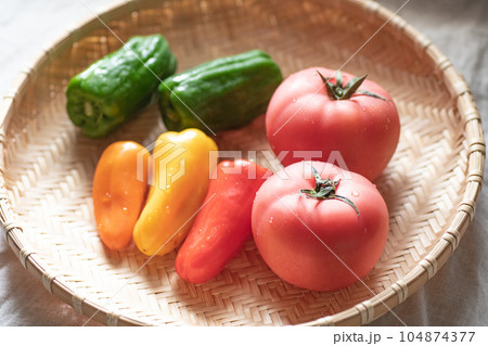 夏野菜イメージ　トマト　パプリカ　ピーマン　笊　野菜　フレッシュ　収穫　農作物　サラダ　美容　健康 104874377
