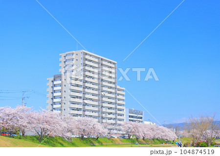 瀬戸市、瀬戸川沿いの桜とマンションの風景 瀬戸市、瀬戸川沿いの桜とマンションの風景 104874519