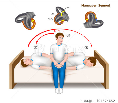 Maneuver Semont leadership carrying out vector eps10 104874632