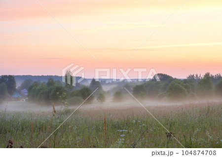 Fog over the field and trees at dawn. Fog over the field and trees at dawn. 104874708